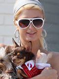 Sngerin Dit: Paris Hilton